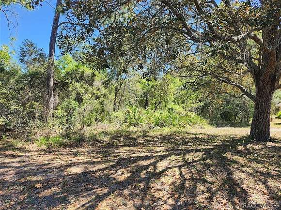 0.28 Acres of Residential Land for Sale in Homosassa, Florida