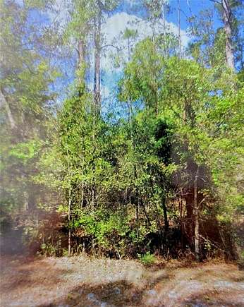 0.25 Acres of Residential Land for Sale in Georgetown, Florida