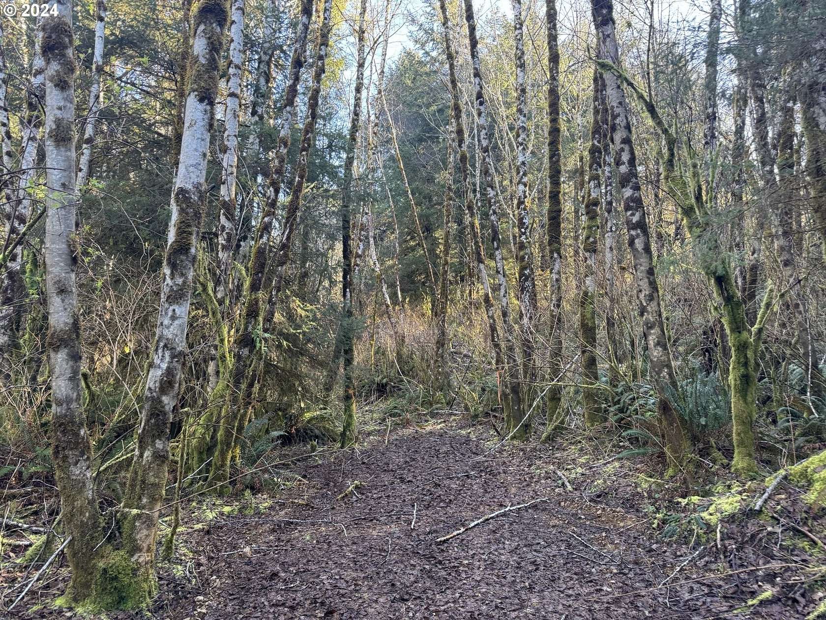 15.1 Acres of Recreational Land for Sale in Lakeside, Oregon