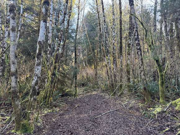 15.1 Acres of Recreational Land for Sale in Lakeside, Oregon