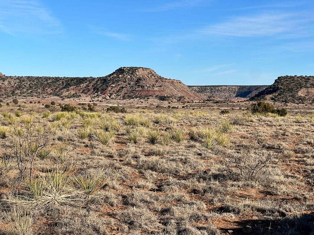 5.3 Acres of Recreational Land for Sale in Conchas, New Mexico