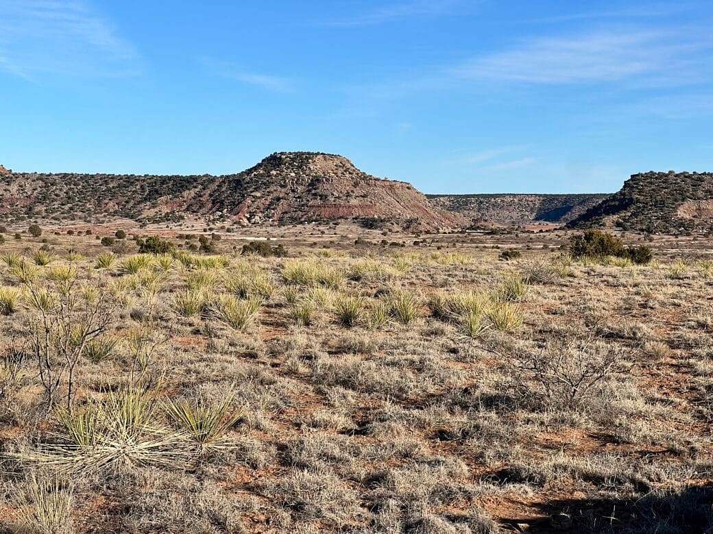 5.33 Acres of Recreational Land for Sale in Conchas, New Mexico