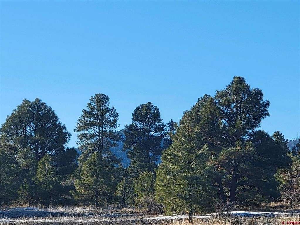 0.89 Acres of Residential Land for Sale in Pagosa Springs, Colorado