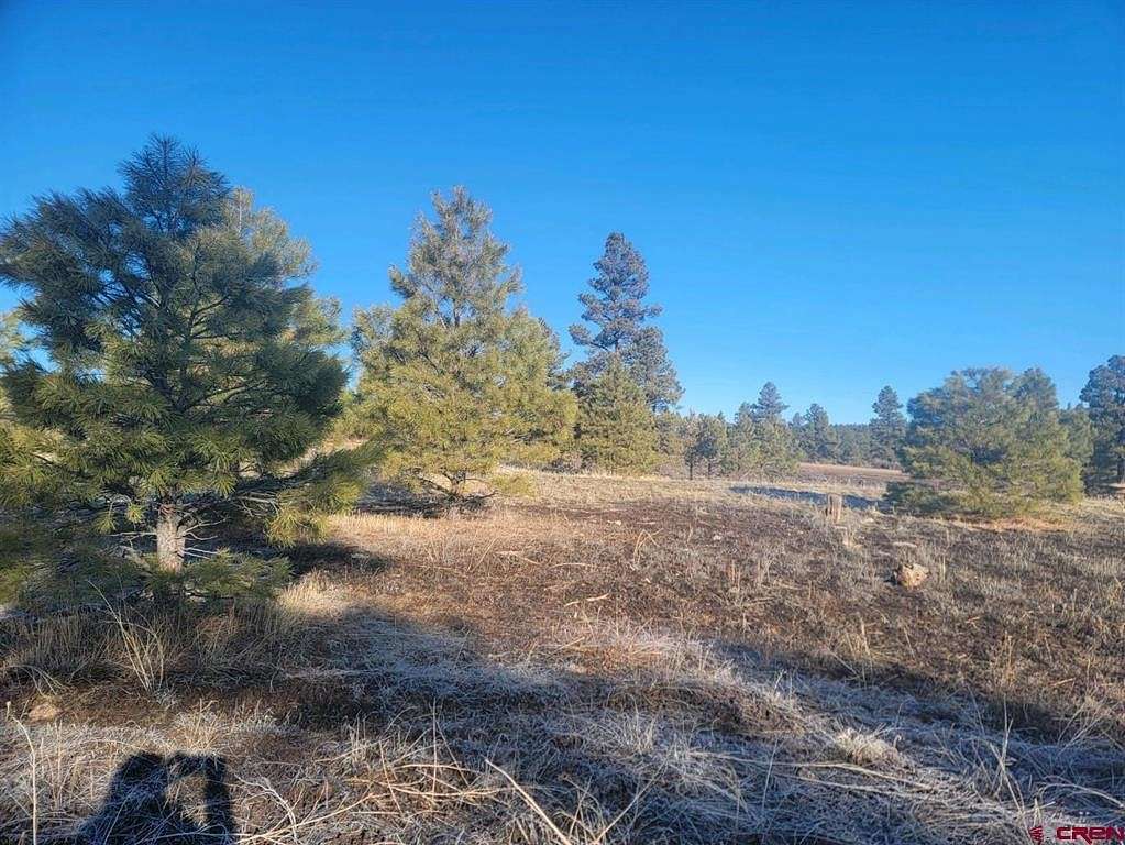 0.89 Acres of Residential Land for Sale in Pagosa Springs, Colorado