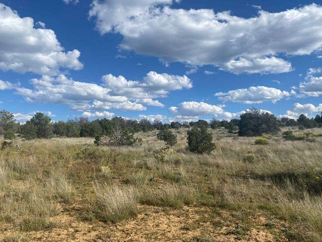 4.8 Acres of Recreational Land for Sale in Pinehill, New Mexico