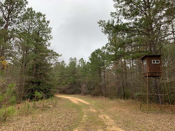 167 Acres of Recreational Land for Sale in Marion, Louisiana