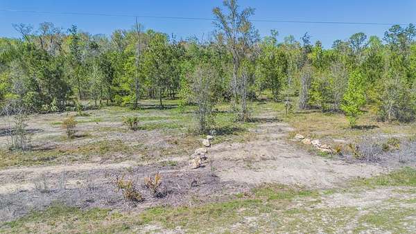 2.38 Acres of Residential Land for Sale in Jena, Florida