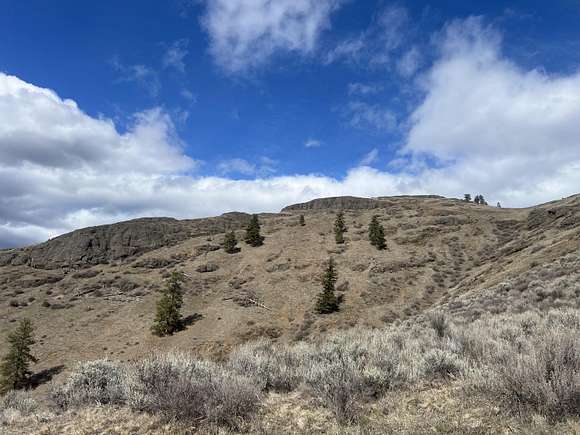 20 Acres of Land for Sale in Republic, Washington
