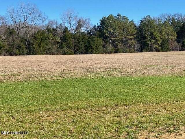 2.44 Acres of Residential Land for Sale in Canton, Mississippi