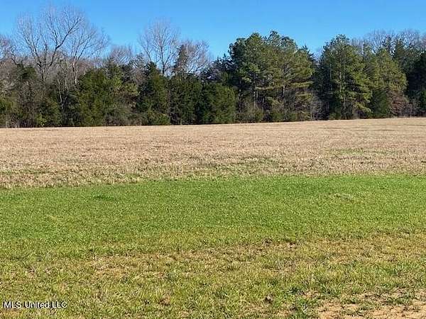 2.44 Acres of Residential Land for Sale in Canton, Mississippi