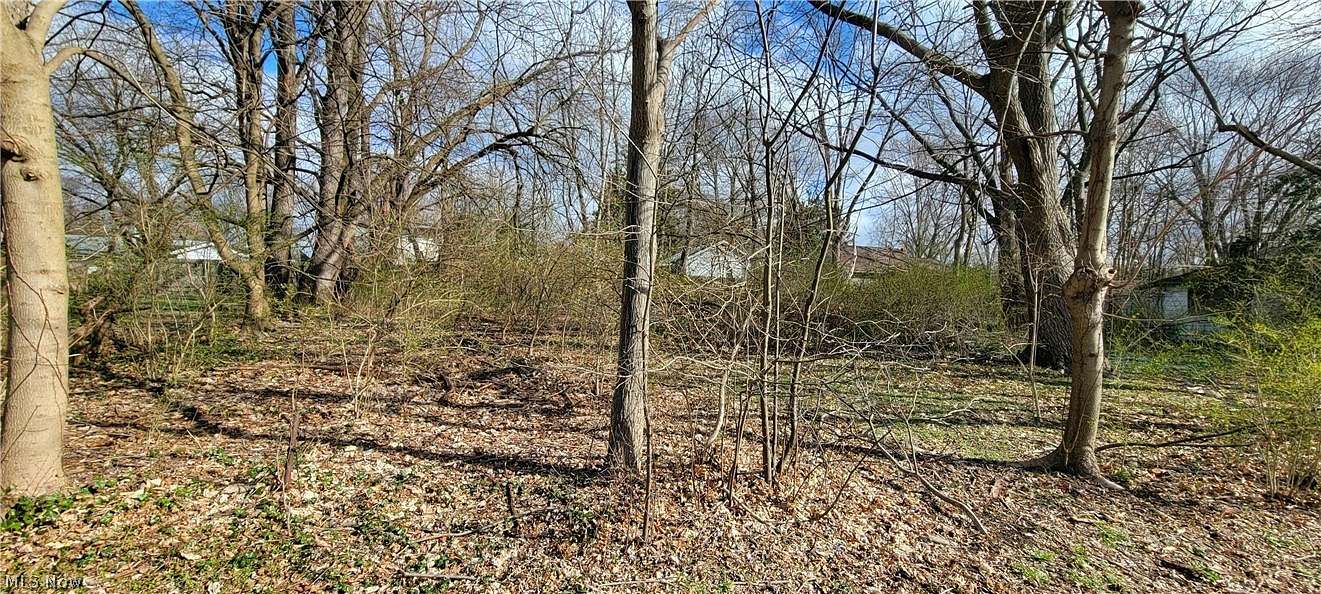0.46 Acres of Residential Land for Sale in Akron, Ohio