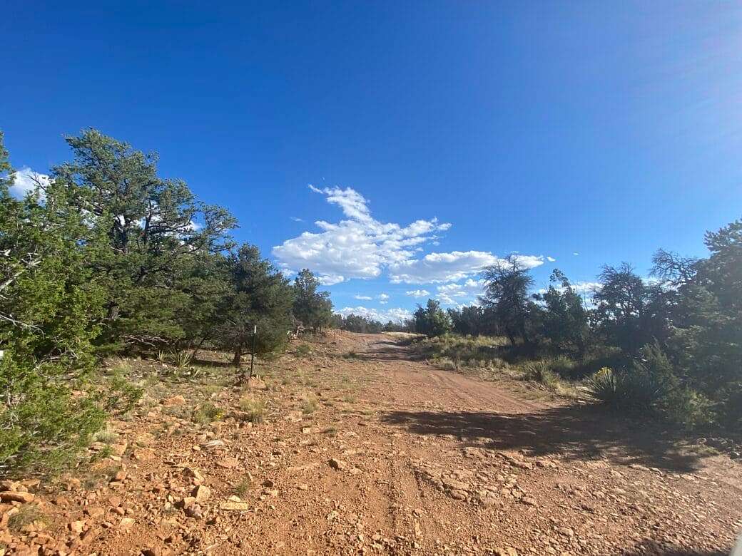 2.9 Acres of Recreational Land for Sale in Ramah, New Mexico