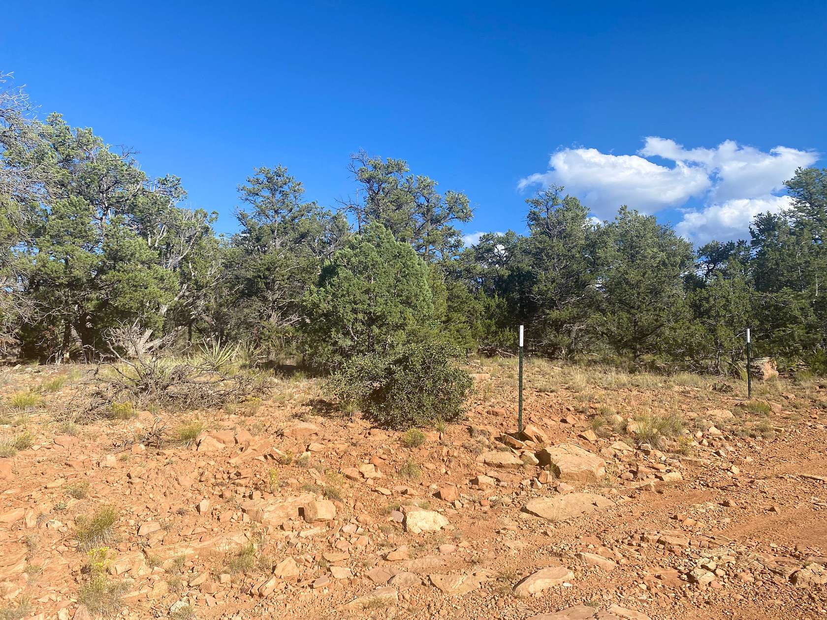 2.9 Acres of Recreational Land for Sale in Ramah, New Mexico