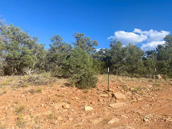 2.9 Acres of Recreational Land for Sale in Ramah, New Mexico