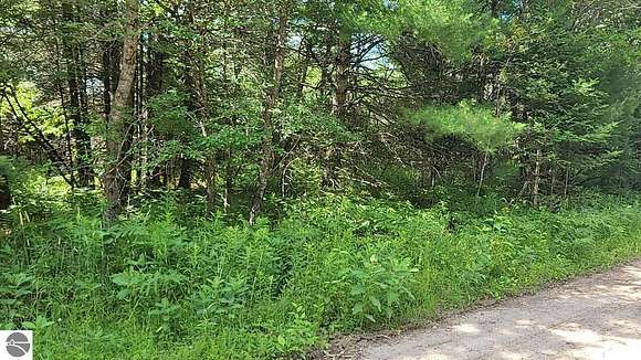 0.22 Acres of Land for Sale in Grayling, Michigan