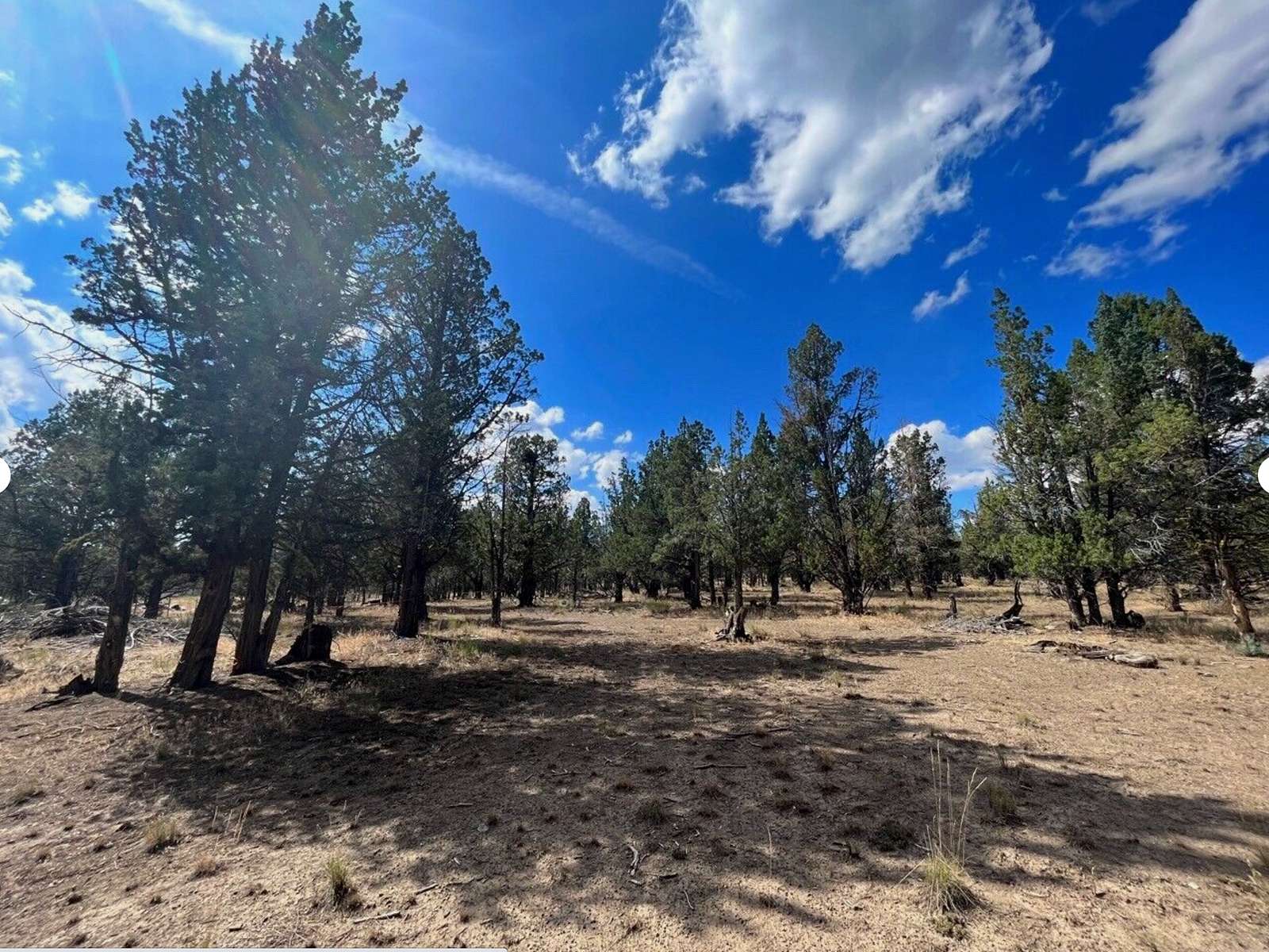1.5 Acres of Land for Sale in Alturas, California