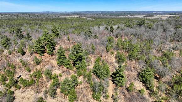 64.9 Acres of Land for Sale in Sparta, Wisconsin