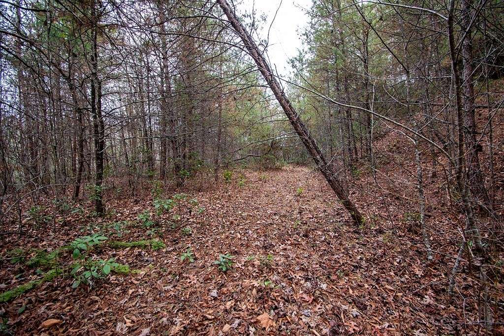 2.8 Acres of Land for Sale in Marble, North Carolina