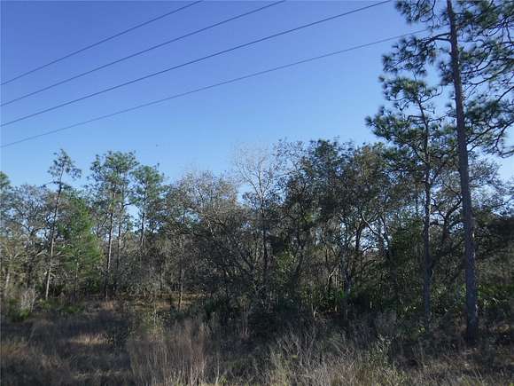 8.9 Acres of Land for Sale in Homosassa, Florida
