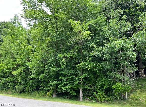 0.76 Acres of Residential Land for Sale in Negley, Ohio