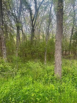 8 Acres of Land for Sale in Mount Pleasant, Texas