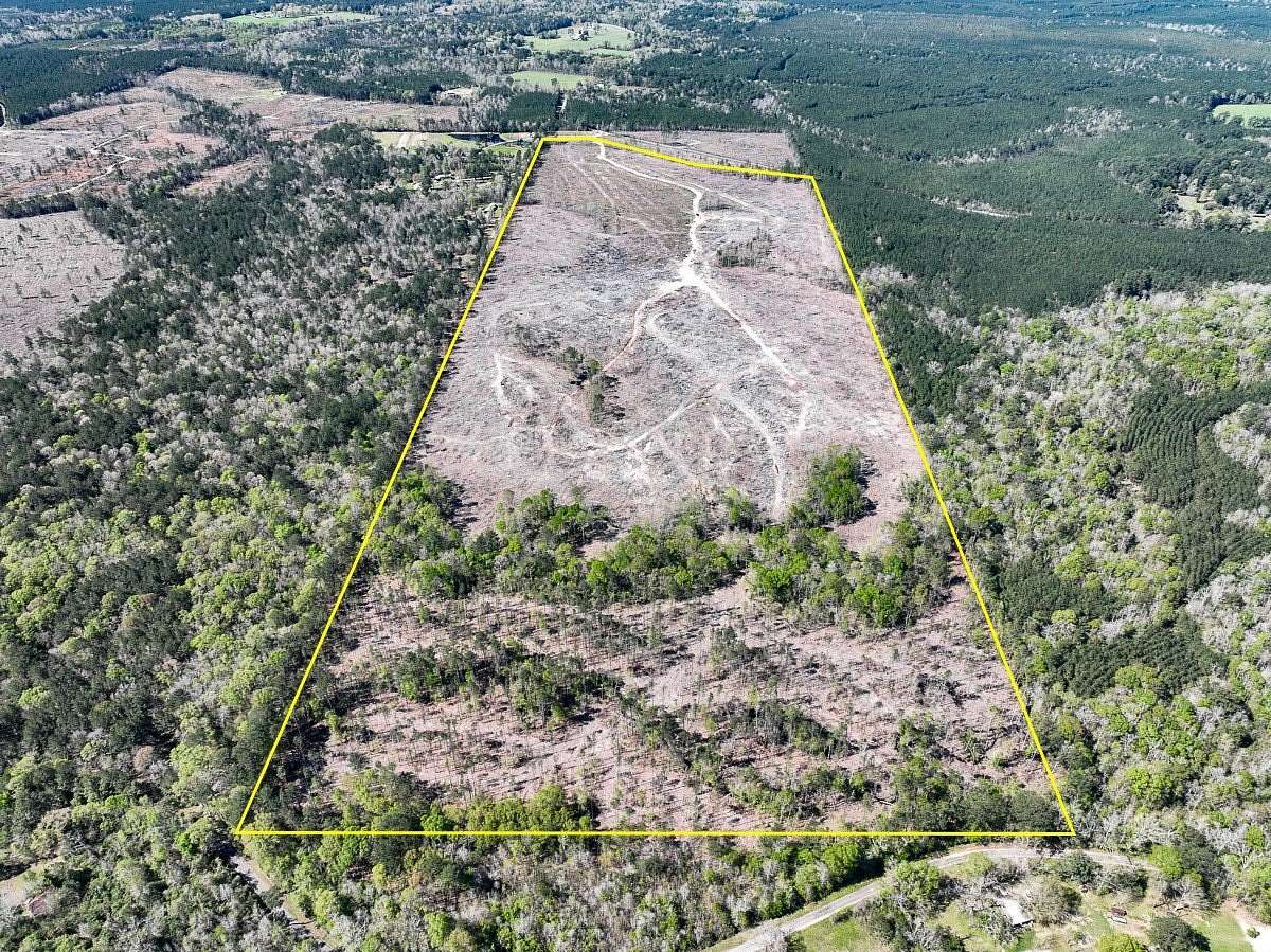 143 Acres of Land for Sale in Kirbyville, Texas