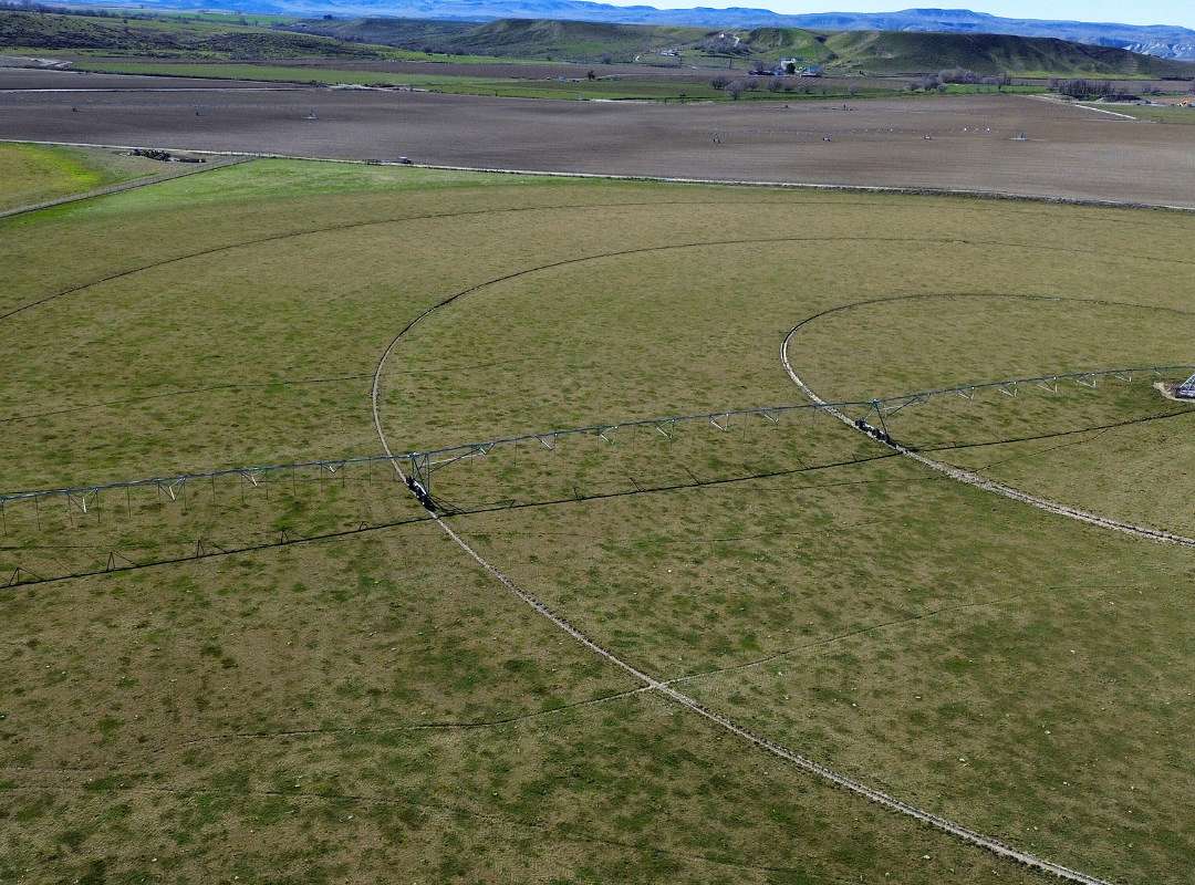 77.4 Acres of Agricultural Land for Sale in Homedale, Idaho