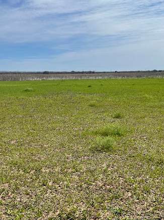 10 Acres of Recreational Land for Sale in Lawn, Texas