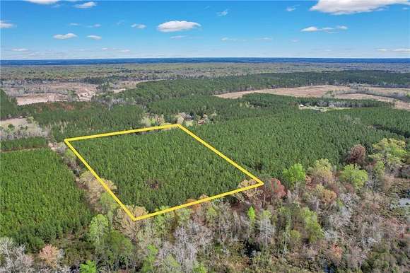 10 Acres of Residential Land for Sale in Odum, Georgia