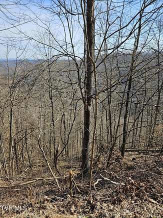 30 Acres of Recreational Land for Sale in Dante, Virginia