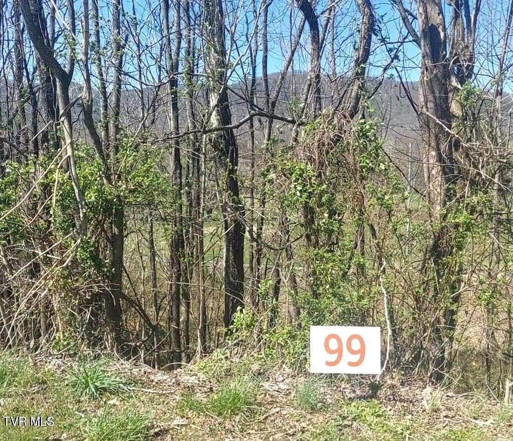 0.53 Acres of Residential Land for Sale in Unicoi, Tennessee