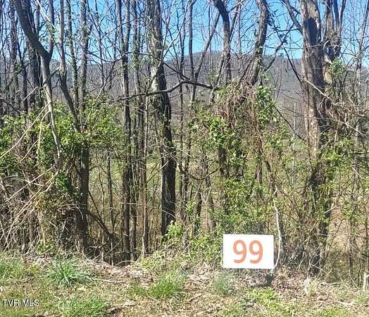 0.53 Acres of Residential Land for Sale in Unicoi, Tennessee