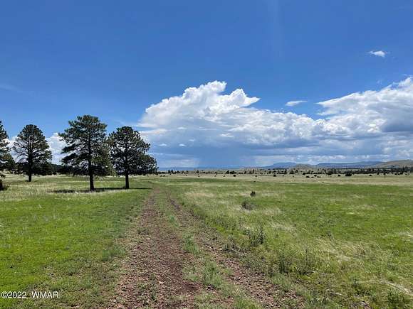 8 Acres of Residential Land for Sale in Greer, Arizona