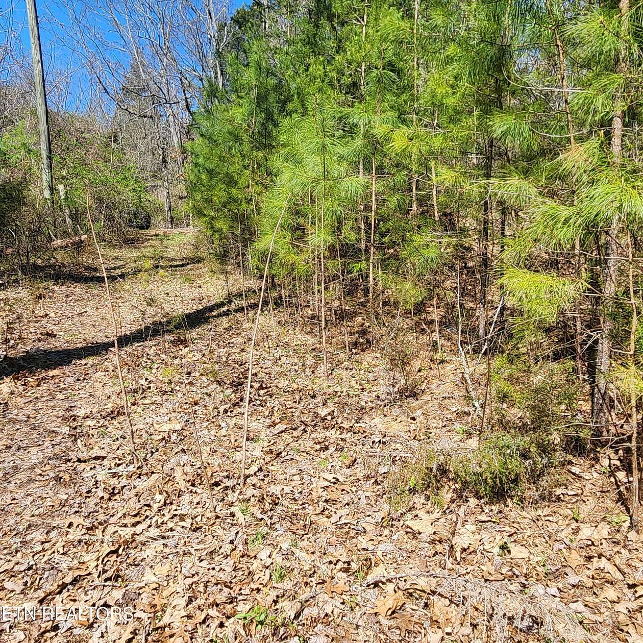 5.6 Acres of Land for Sale in Maynardville, Tennessee