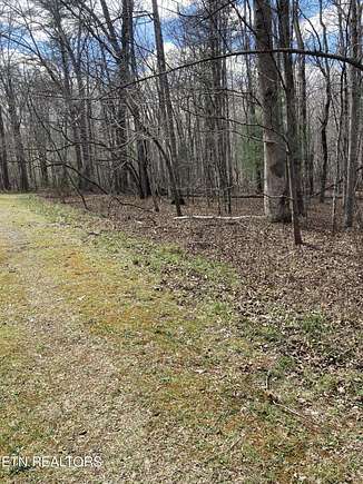 0.24 Acres of Land for Sale in Fairfield Glade, Tennessee