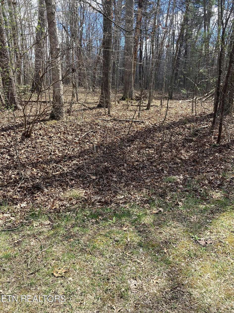 0.27 Acres of Land for Sale in Fairfield Glade, Tennessee
