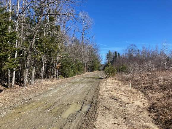40.3 Acres of Land for Sale in Detroit, Maine