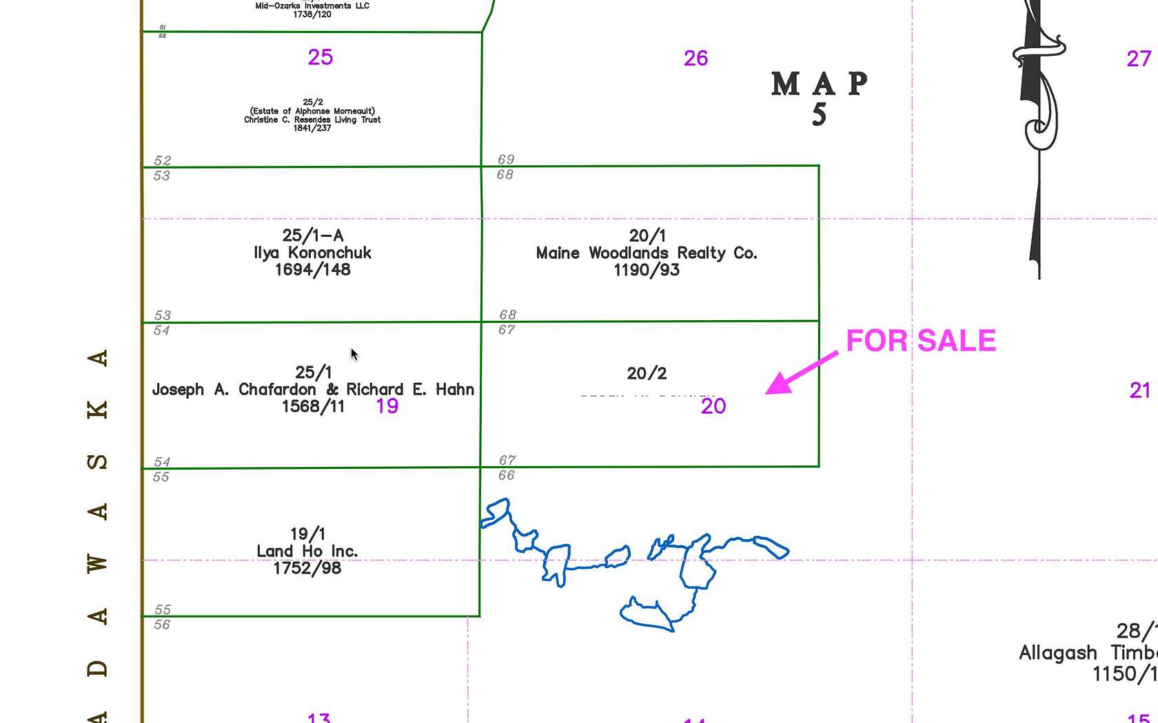 155 Acres of Recreational Land for Sale in Grand Isle, Maine