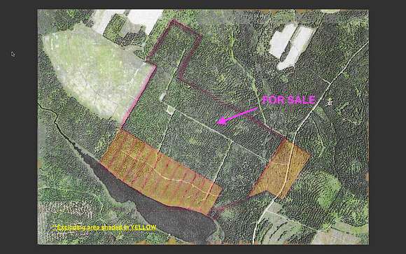 375 Acres of Land for Sale in Madawaska, Maine