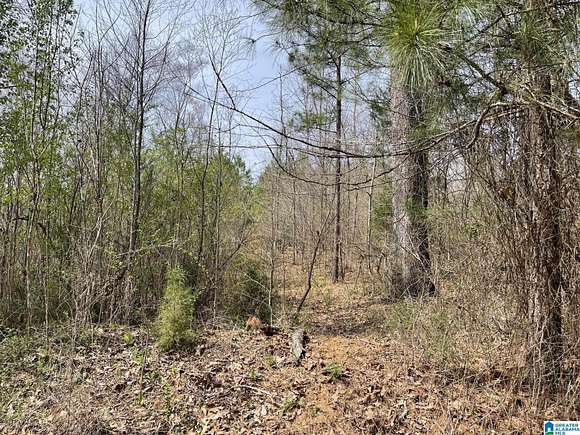 18 Acres of Land for Sale in McCalla, Alabama
