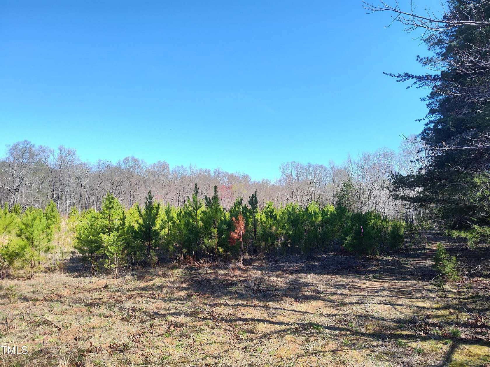 26 Acres of Agricultural Land for Sale in Rougemont, North Carolina
