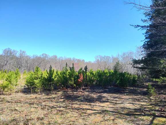 26.01 Acres of Recreational Land & Farm for Sale in Rougemont, North Carolina