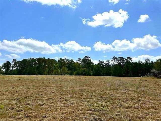 4.2 Acres of Residential Land for Sale in Hillister, Texas