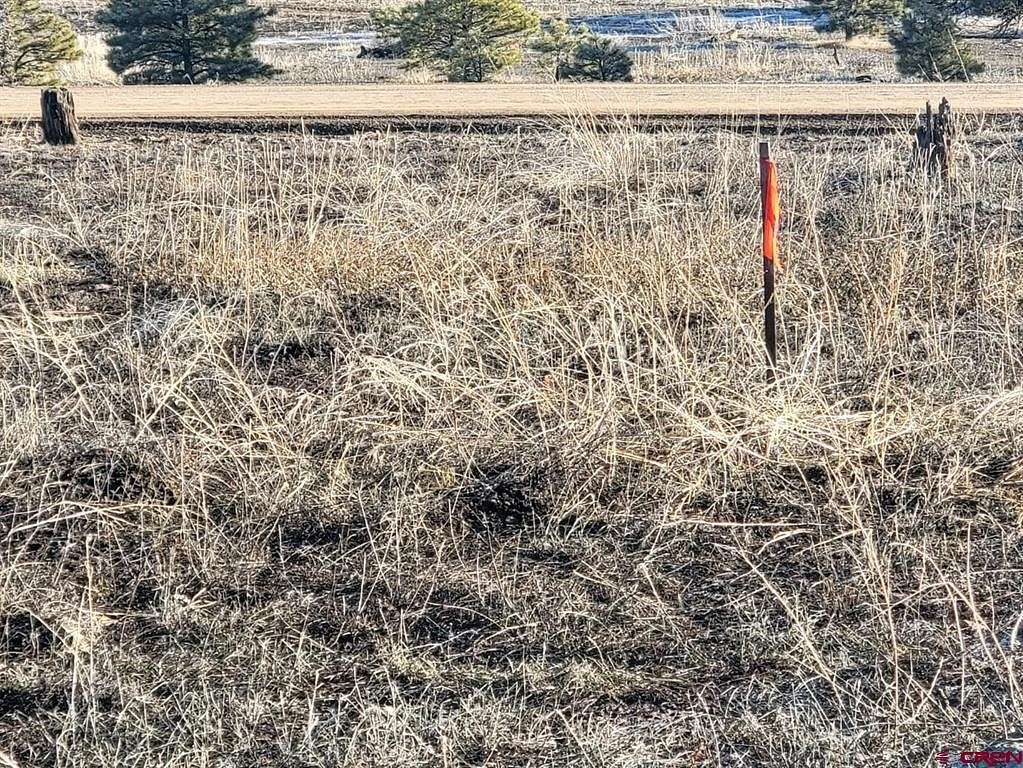 0.3 Acres of Residential Land for Sale in Pagosa Springs, Colorado