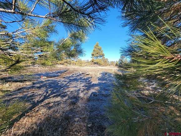 0.295 Acres of Residential Land for Sale in Pagosa Springs, Colorado