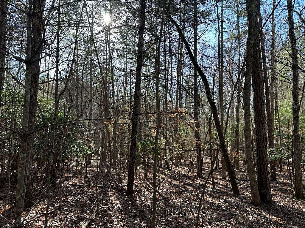 11.7 Acres of Land for Sale in Murphy, North Carolina