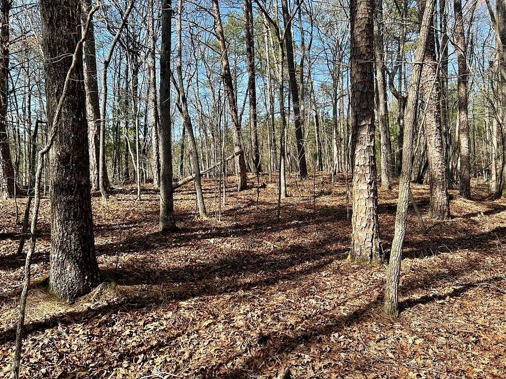 2 Acres of Residential Land for Sale in Ellijay, Georgia
