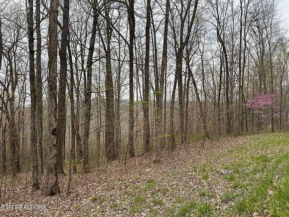 6.6 Acres of Land for Sale in Jamestown, Tennessee
