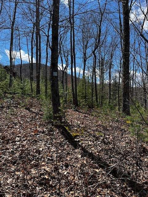 2.3 Acres of Land for Sale in Blairsville, Georgia