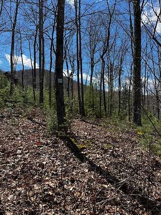 2.3 Acres of Land for Sale in Blairsville, Georgia